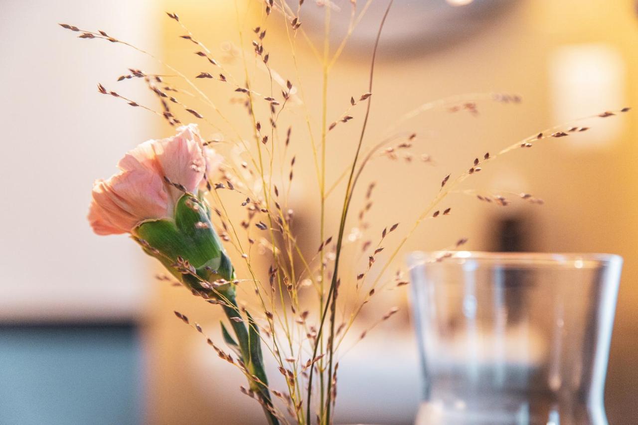 Pop Up Hotel Krone Zuerich Rom bilde